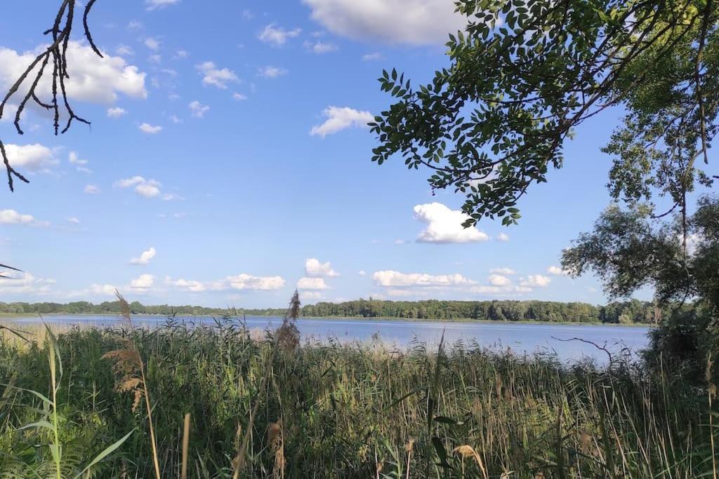 Storchennest - Ferienwohnung Am Storchenradweg Ketzur Экстерьер фото