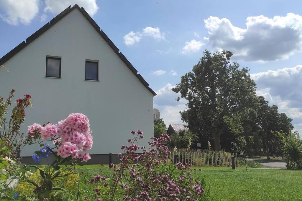 Storchennest - Ferienwohnung Am Storchenradweg Ketzur Экстерьер фото